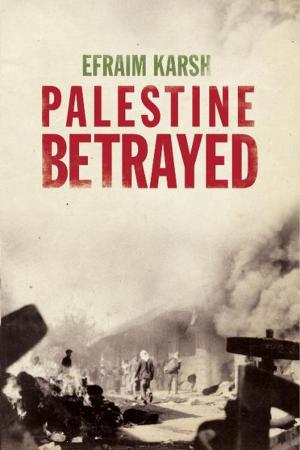 Cover of the book Palestine Betrayed by Dieter Helm