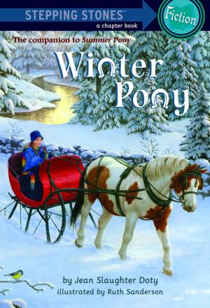 Cover of the book Winter Pony by Todd Calgi Gallicano
