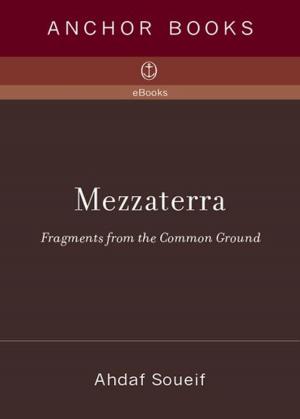 Cover of the book Mezzaterra by Nancy Willard