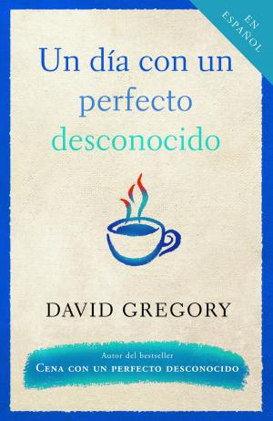 Cover of the book Un dia con un perfecto desconocido by Ernesto Guevara Lynch