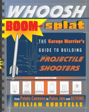 Cover of the book Whoosh Boom Splat by Bruce Anthony