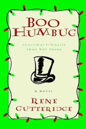 Cover of the book Boo Humbug by Jeroen Steenbeeke
