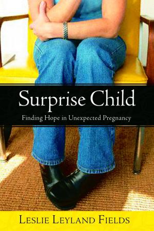 Book cover of Surprise Child