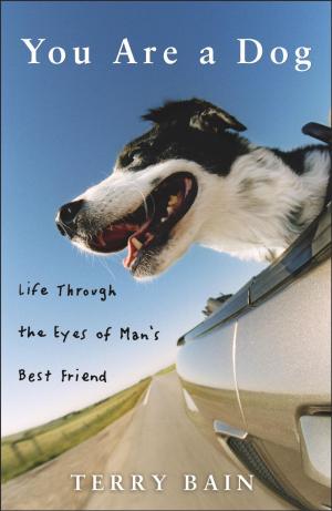 Cover of the book You Are a Dog by J.S. Williams