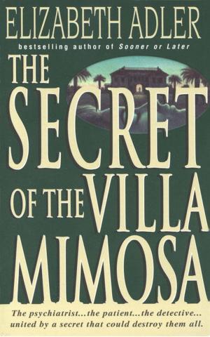 Cover of the book The Secret of the Villa Mimosa by Jeff Kalac