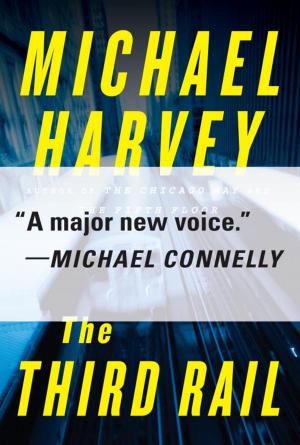 bigCover of the book The Third Rail by 