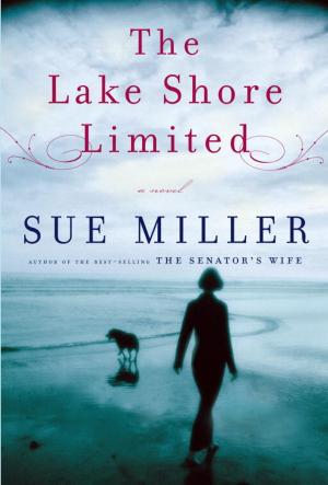 Cover of the book The Lake Shore Limited by Daniel H. Wilson, John Joseph Adams