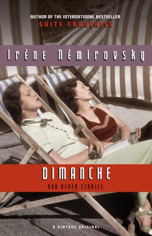 Cover of the book Dimanche and Other Stories by Elinor Lipman
