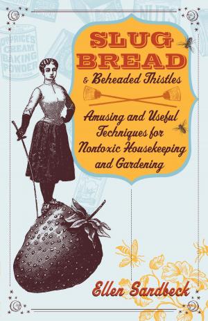 Cover of the book Slug Bread and Beheaded Thistles by Helen Sampson
