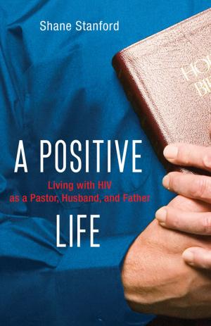 Cover of the book A Positive Life by Hugh Halter, Matt Smay