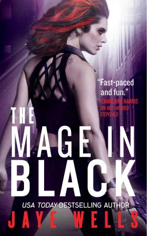 bigCover of the book The Mage in Black by 