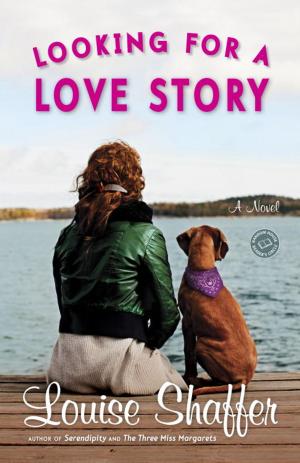 Cover of the book Looking for a Love Story by Stephen Hawking, Leonard Mlodinow