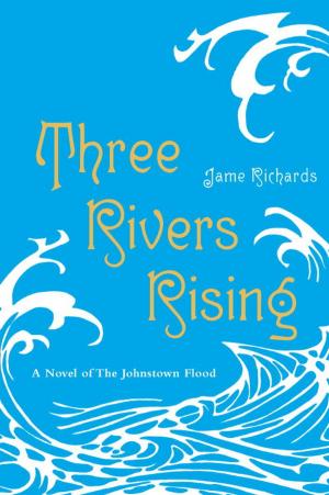 Cover of the book Three Rivers Rising by Sue Stauffacher