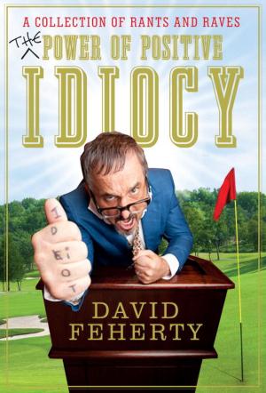 Cover of the book The Power of Positive Idiocy by Jonathan Dee