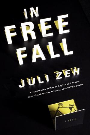 Cover of the book In Free Fall by Philip J. Greven, Jr.