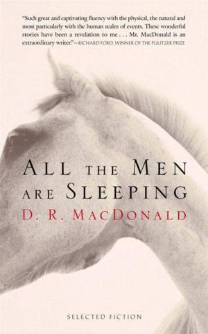 Cover of the book All the Men Are Sleeping by Noah Richler
