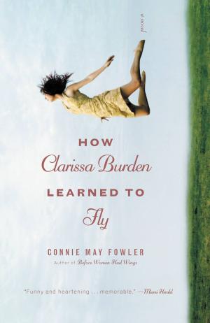 Cover of the book How Clarissa Burden Learned to Fly by Hannah Richell