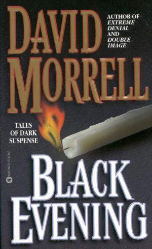 Book cover of Black Evening