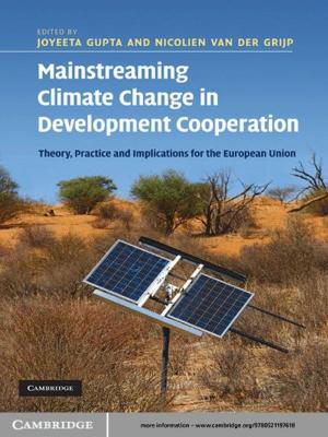 Cover of the book Mainstreaming Climate Change in Development Cooperation by Professor Keith Dowding, Professor Peter John