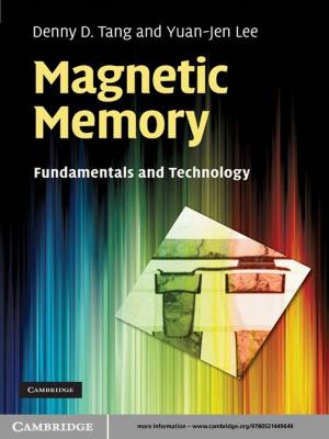 Cover of the book Magnetic Memory by Ronald Cramer, Ivan Bjerre Damgård, Jesper Buus Nielsen