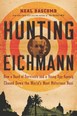 Cover of the book Hunting Eichmann by Stefanina Hill