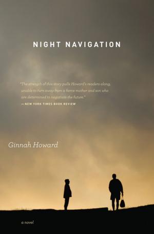 Cover of Night Navigation
