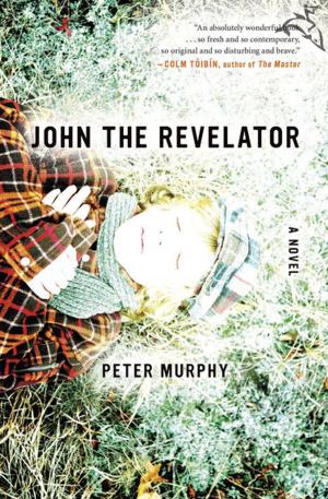Cover of the book John the Revelator by Louis Auchincloss