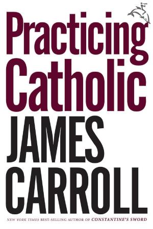 Cover of the book Practicing Catholic by Natasha Trethewey