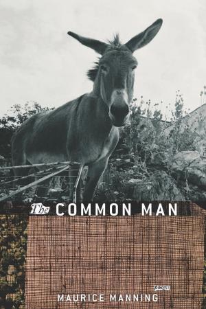 Cover of the book The Common Man by Jonathan Lethem