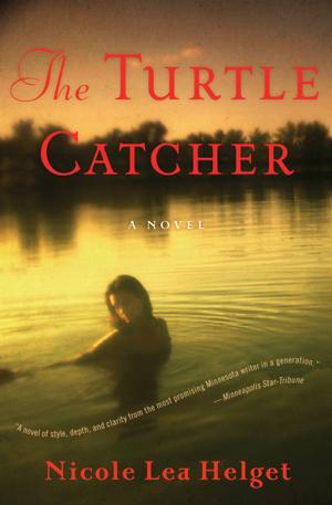 Cover of the book The Turtle Catcher by Carson McCullers