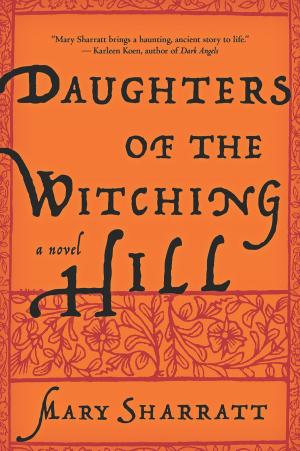 Cover of the book Daughters of the Witching Hill by Betty Crocker