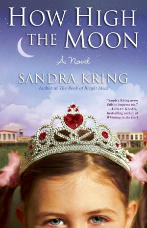 Cover of the book How High the Moon by Anne Poulton
