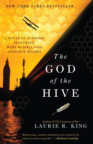 Cover of the book The God of the Hive by bertrand PEILLARD