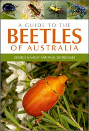 Book cover of A Guide to the Beetles of Australia