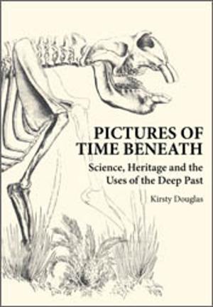 bigCover of the book Pictures of Time Beneath by 