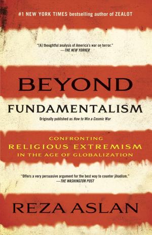 Cover of the book Beyond Fundamentalism by Robert Goddard