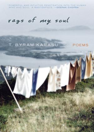 Book cover of Rags of My Soul