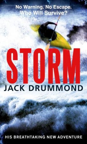 Cover of the book Storm by Jenny Ashcroft