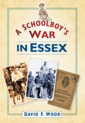 Cover of the book Schoolboy's War in Essex by Kate Elphick, Nigel Denison
