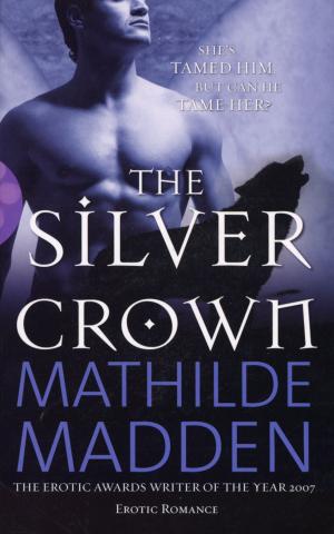 bigCover of the book The Silver Crown by 