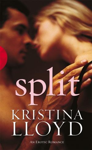 Cover of the book Split by R M Bennett