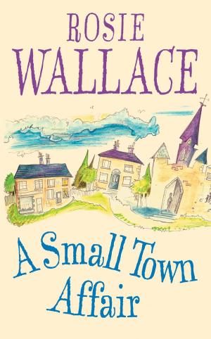 Cover of the book A Small Town Affair by Anne Shooter