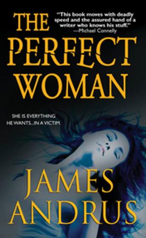 Cover of the book The Perfect Woman by Joe McKinney
