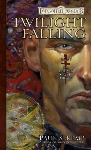 Cover of the book Twilight Falling by Elaine Cunningham