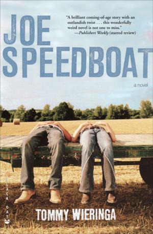 Cover of the book Joe Speedboat by Stephanie Campbell