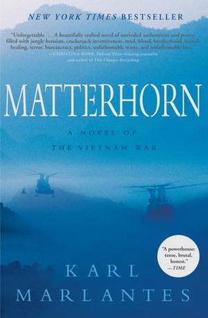 Cover of the book Matterhorn by Michael Wolfe