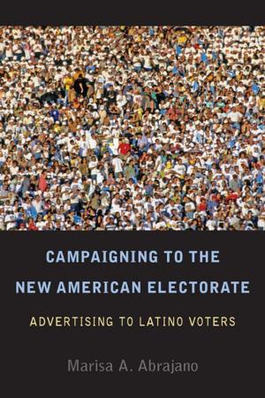 Cover of the book Campaigning to the New American Electorate by Irus Braverman