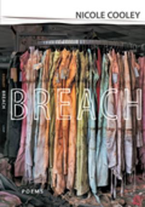 bigCover of the book Breach by 