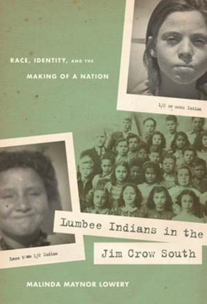Cover of the book Lumbee Indians in the Jim Crow South by Klemens Swib