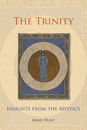 Cover of the book The Trinity by Brendan Byrne SJ